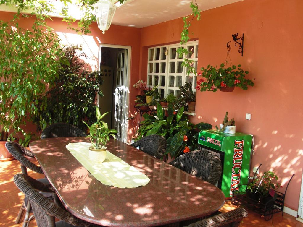 House Jelena Hotel Mlini Exterior foto