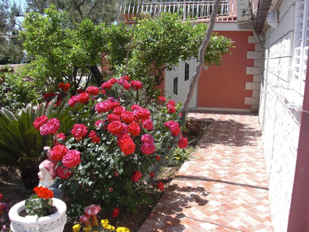 House Jelena Hotel Mlini Quarto foto